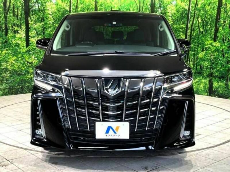 ALPHARD-18