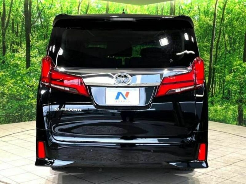 ALPHARD-19