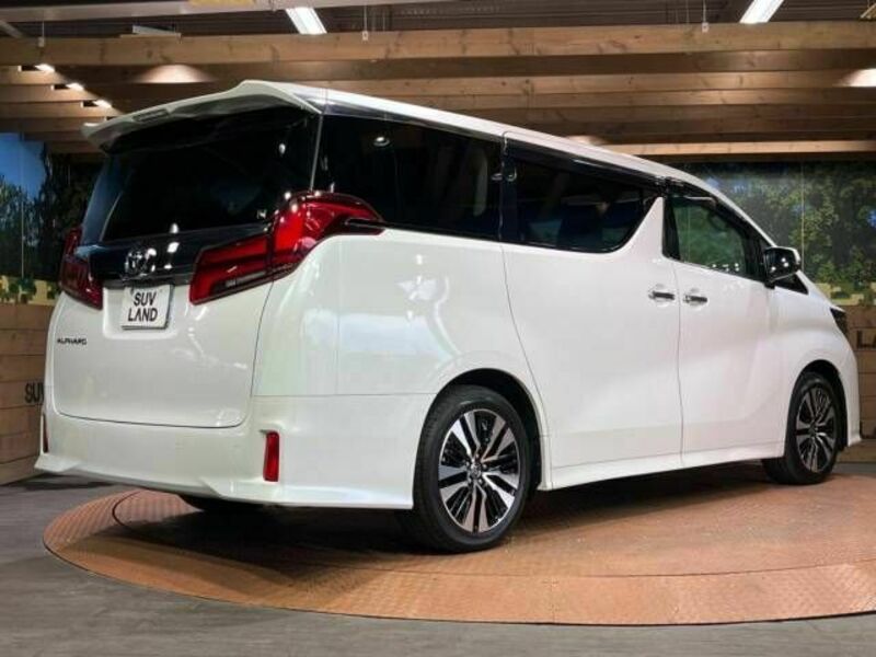 ALPHARD-17