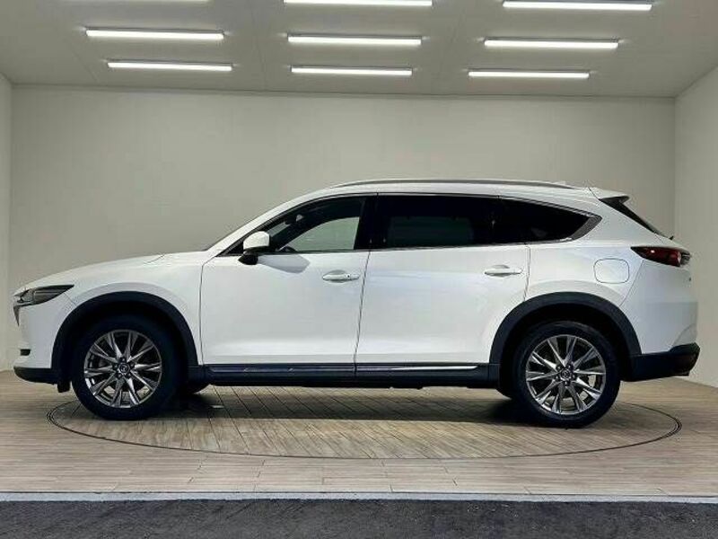 CX-8-15