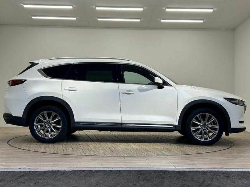 CX-8-16