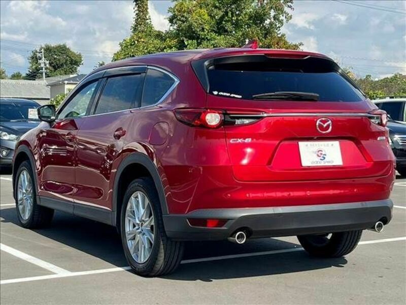 CX-8-16