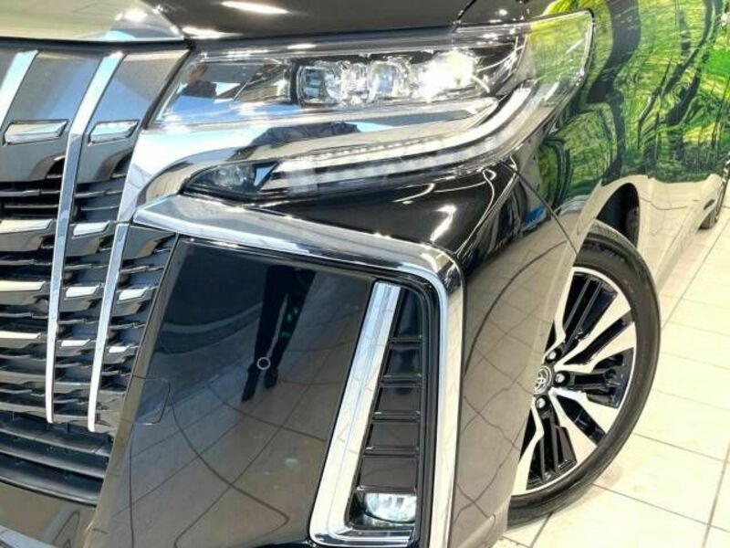 ALPHARD-12