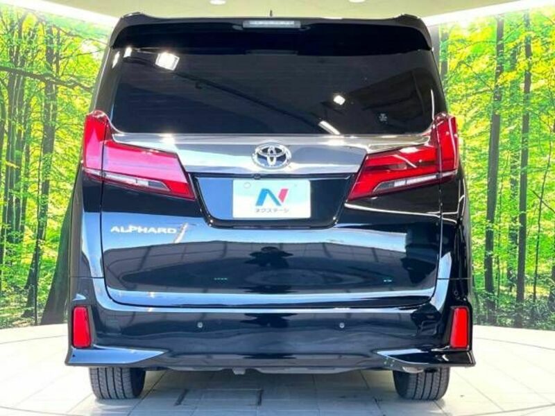 ALPHARD-16