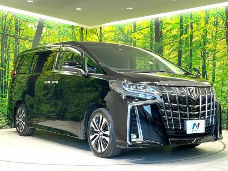 ALPHARD-17