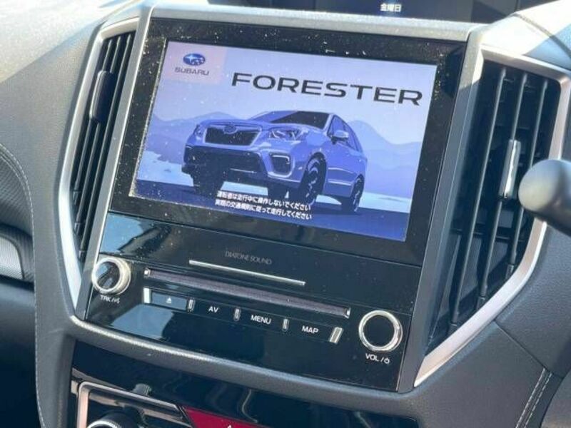 FORESTER-2