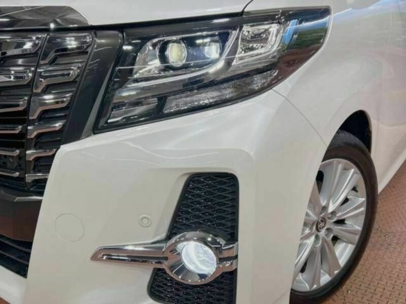 ALPHARD-12