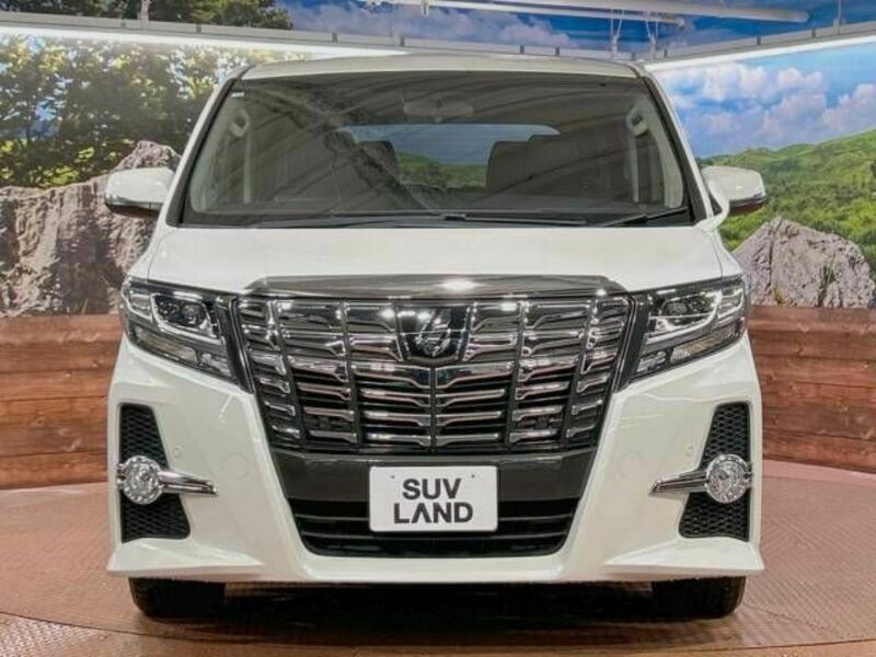 ALPHARD-14