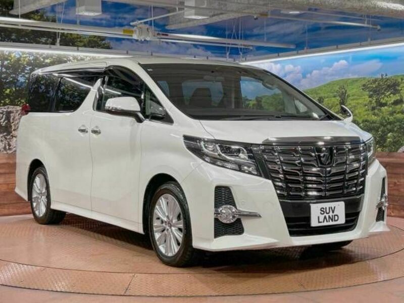 ALPHARD-16