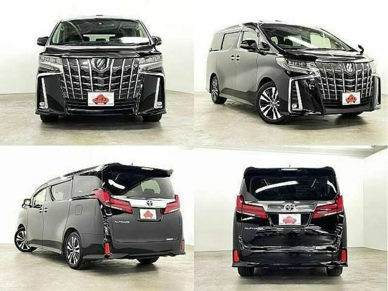 ALPHARD-8