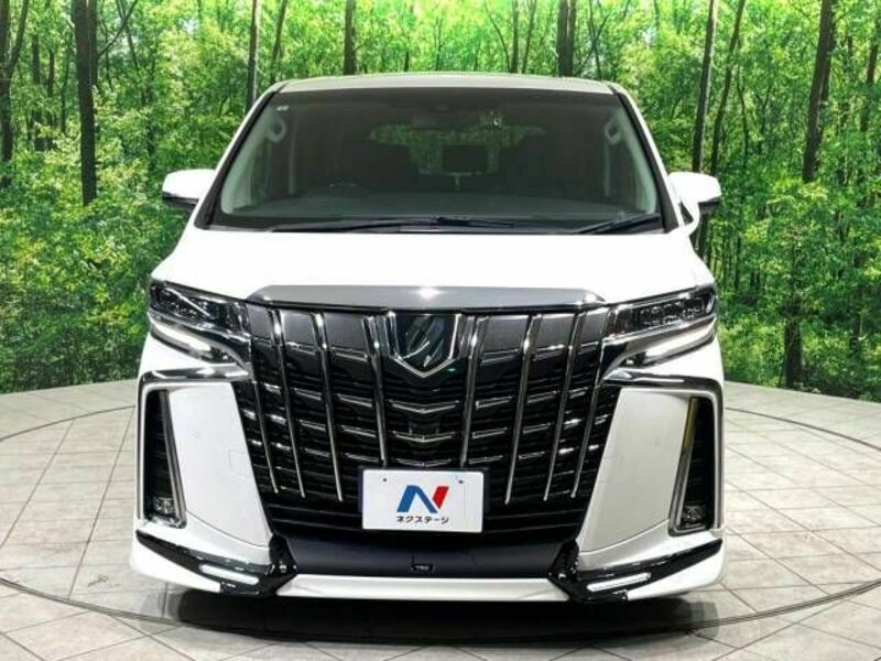 ALPHARD-17