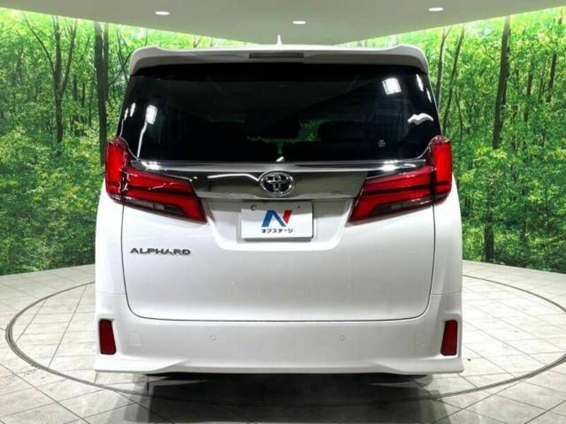 ALPHARD-18