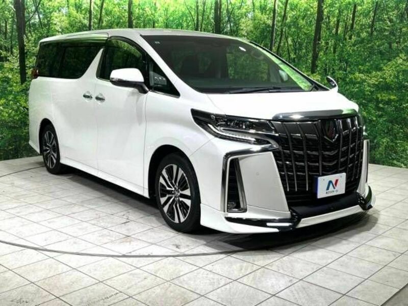 ALPHARD-19