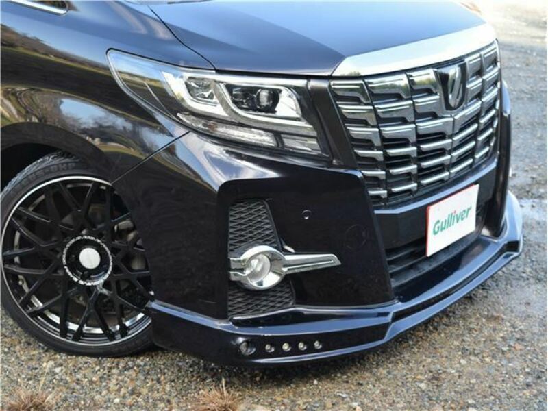 ALPHARD-1