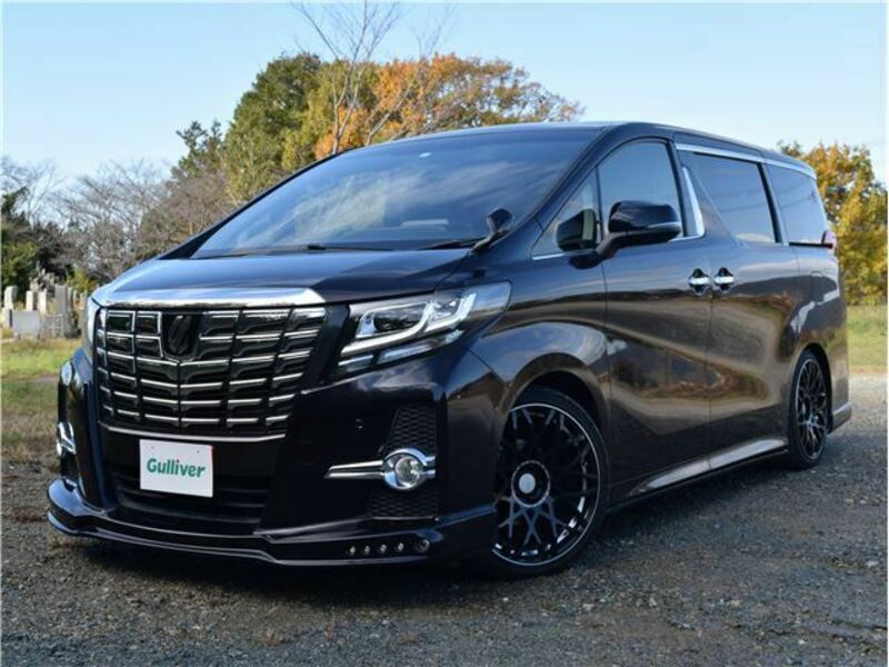 ALPHARD-6