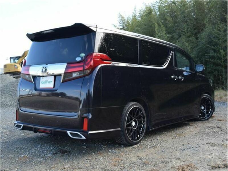 ALPHARD-7