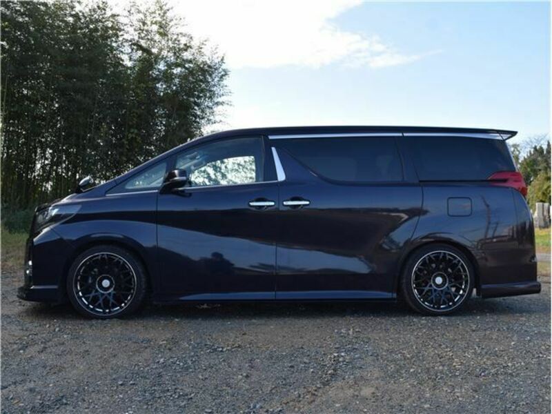 ALPHARD-12