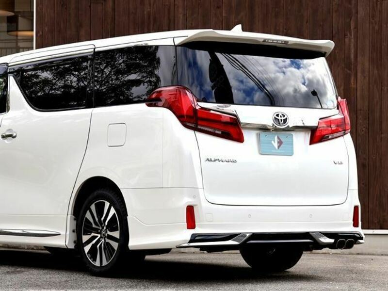 ALPHARD-16