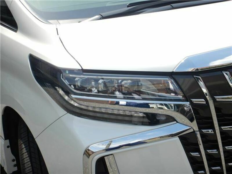 ALPHARD-3