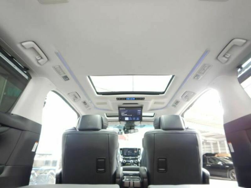 ALPHARD-39