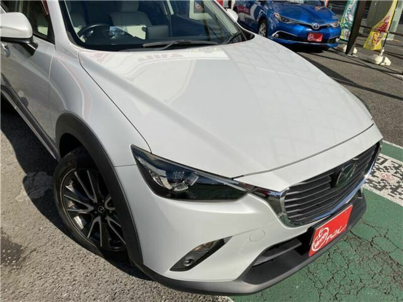 CX-3-41