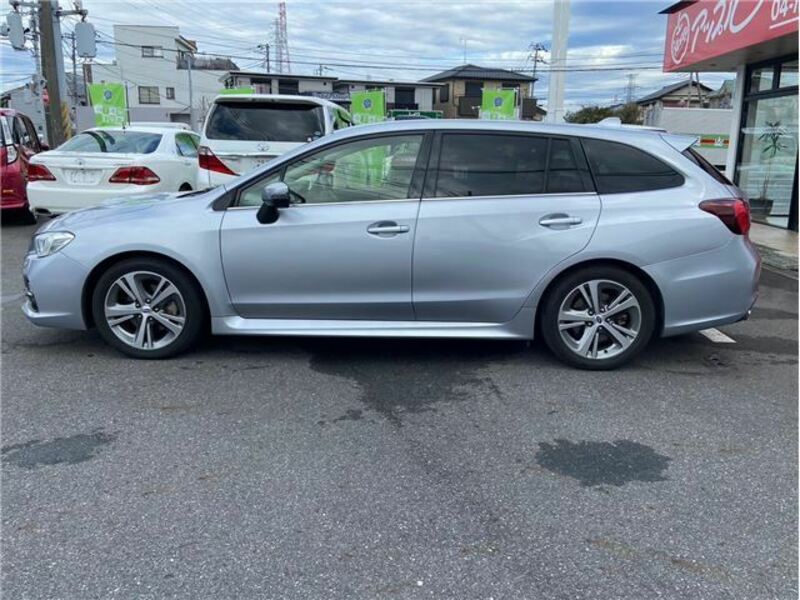 LEVORG-13