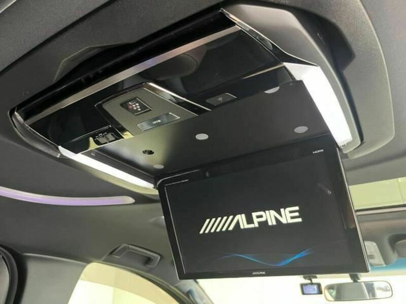 ALPHARD-13