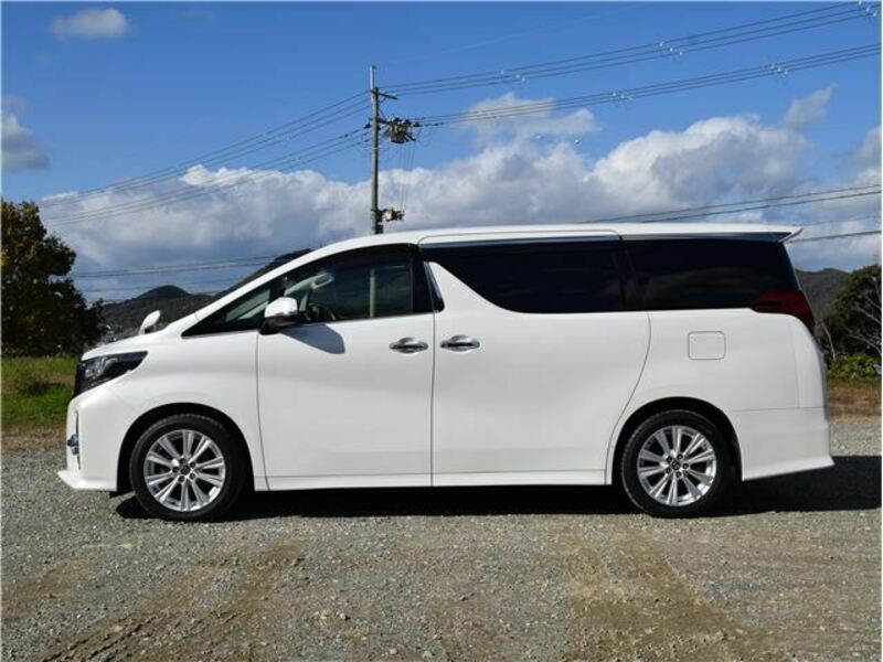 ALPHARD-12