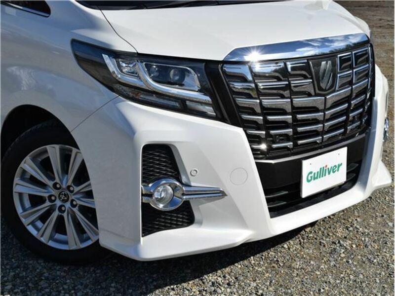 ALPHARD-46