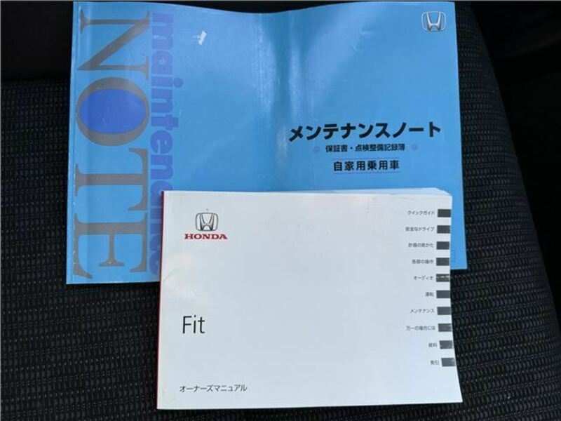 FIT-13