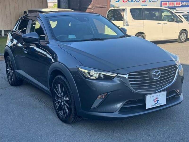 CX-3-13