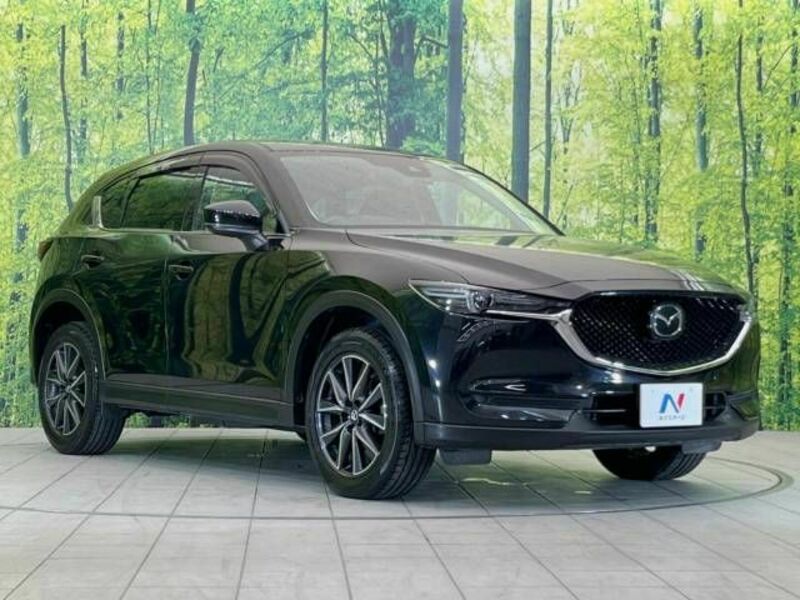 CX-5-16