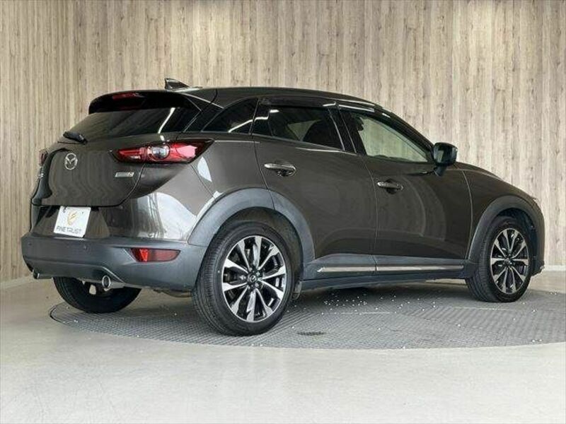 CX-3-18