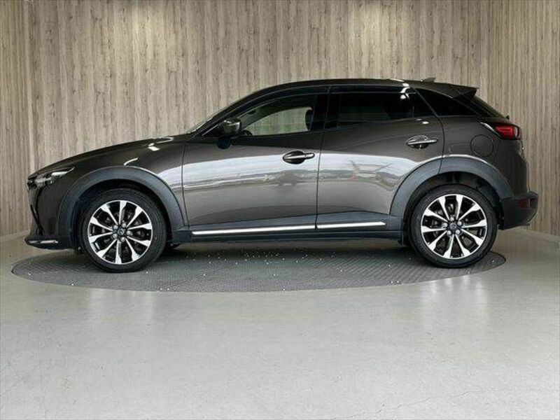 CX-3-21