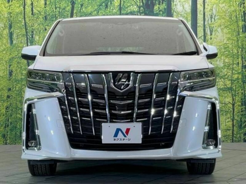 ALPHARD-15