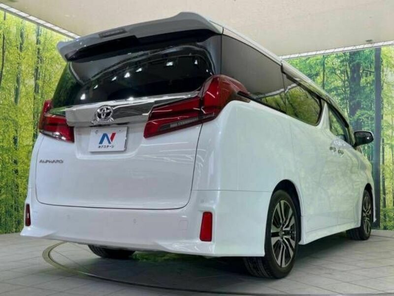 ALPHARD-18