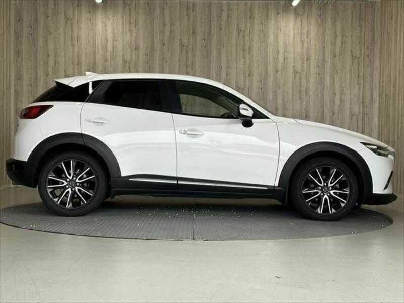 CX-3-18