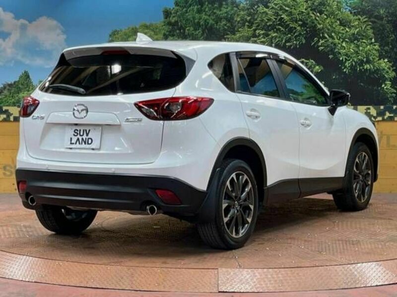 CX-5-17