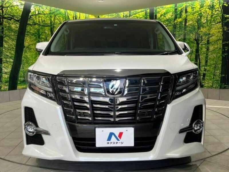 ALPHARD-14