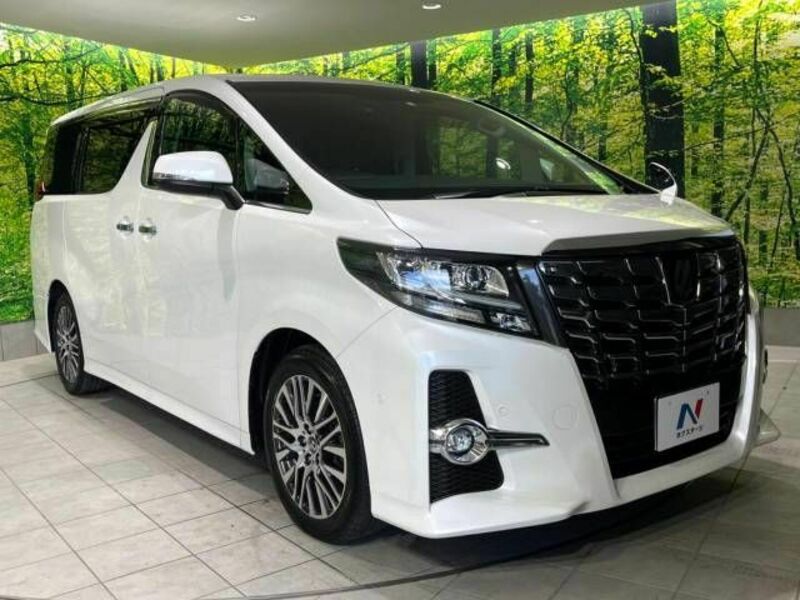 ALPHARD-16