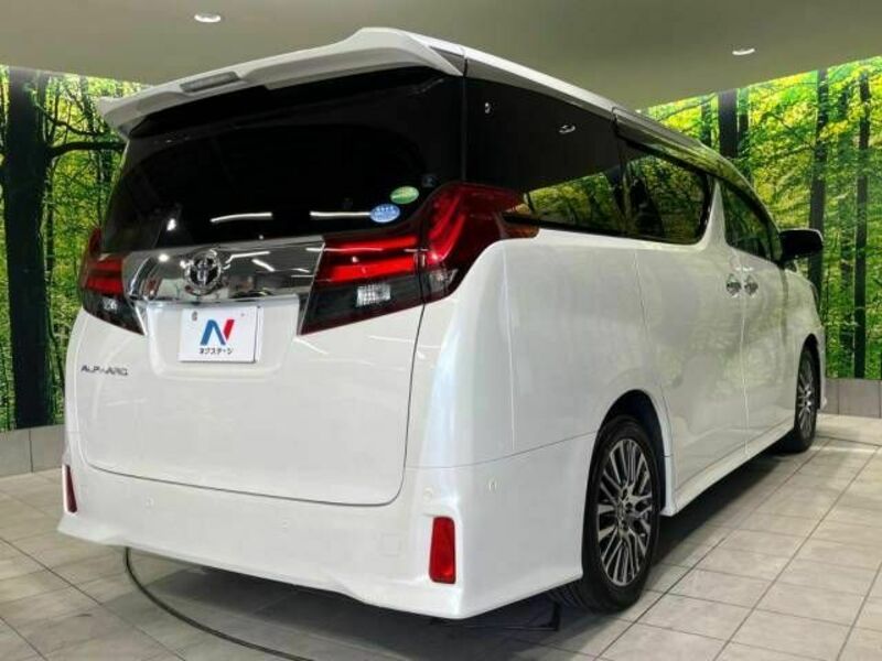 ALPHARD-17