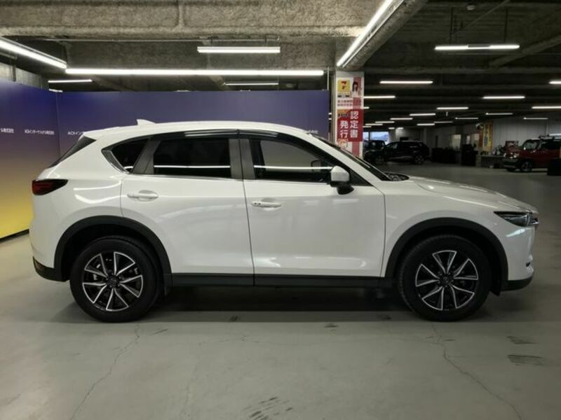 CX-5-6