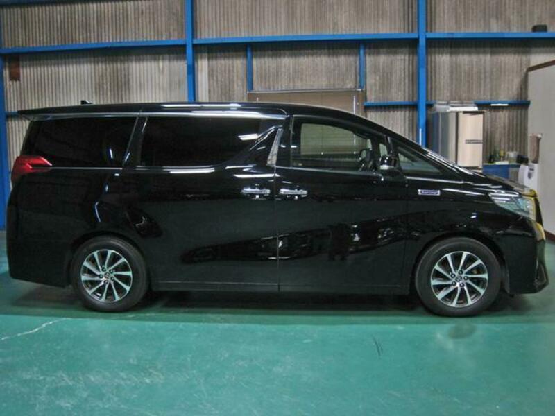 ALPHARD-13