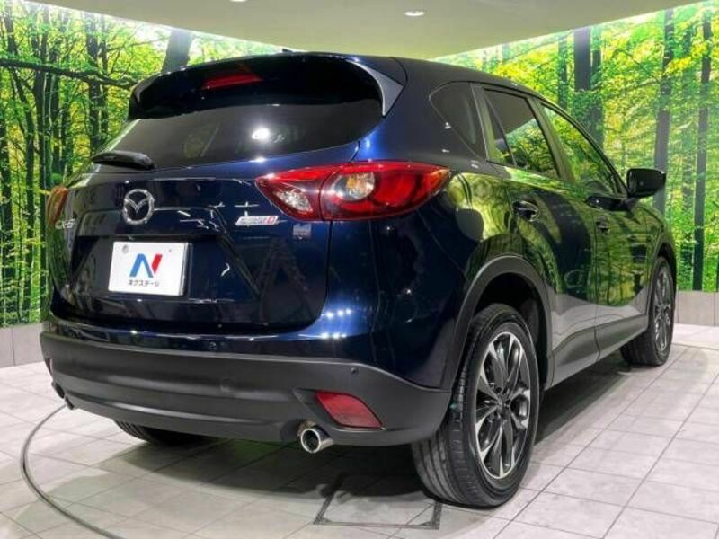 CX-5-17