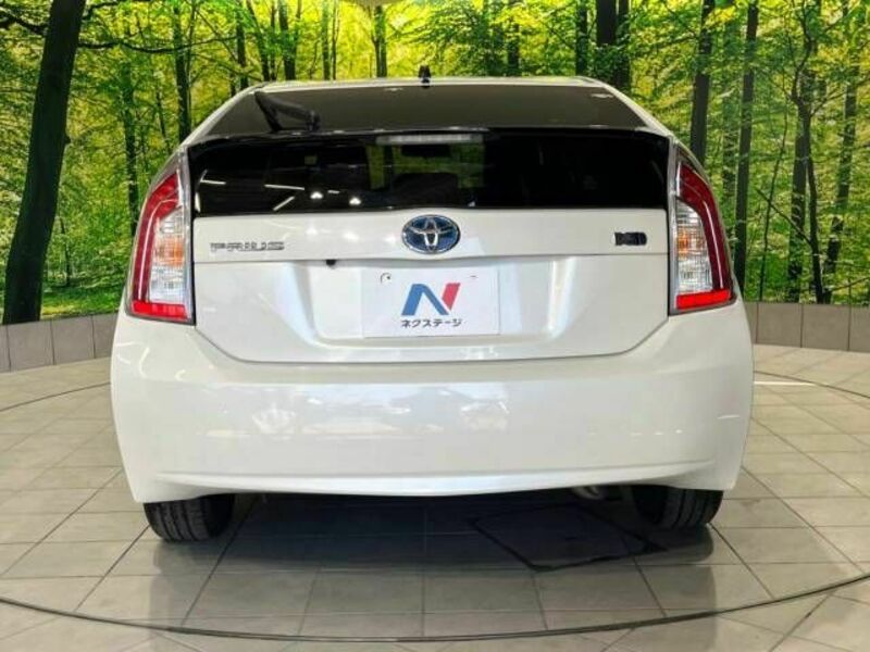 PRIUS-15