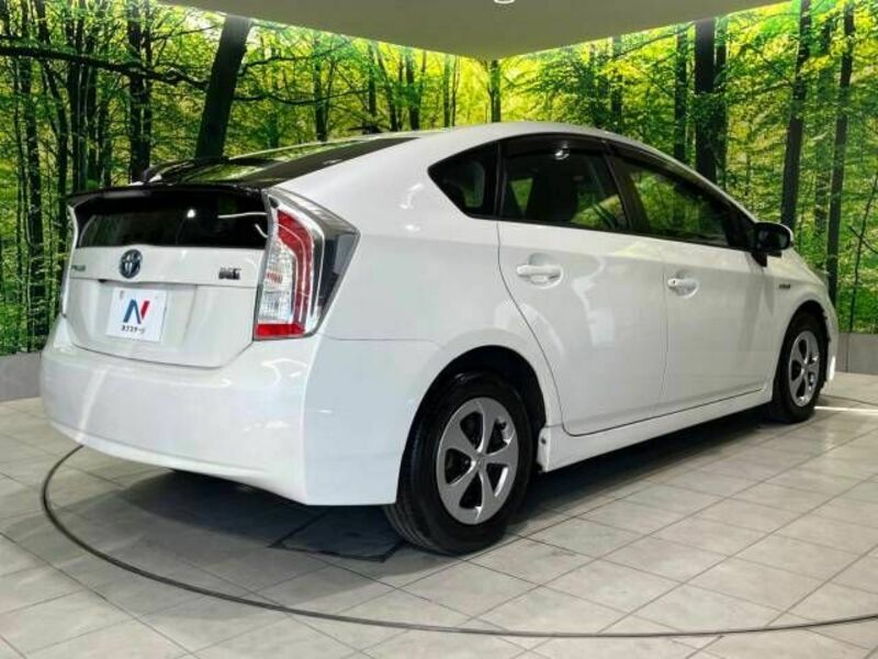 PRIUS-17