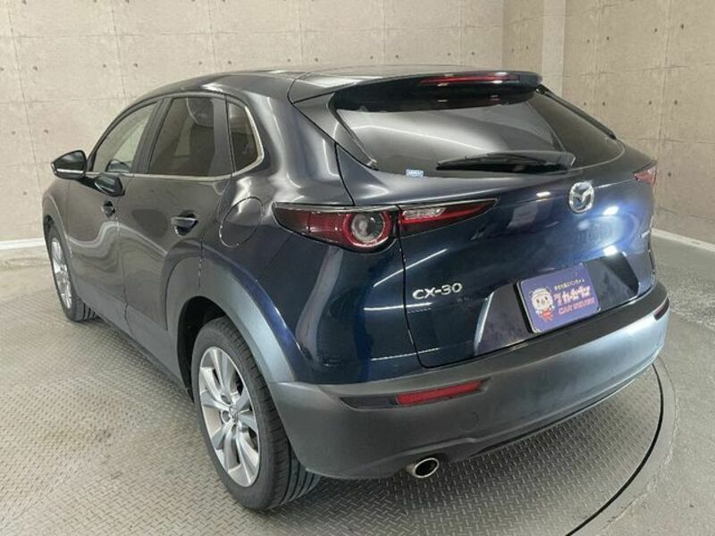 CX-30-2