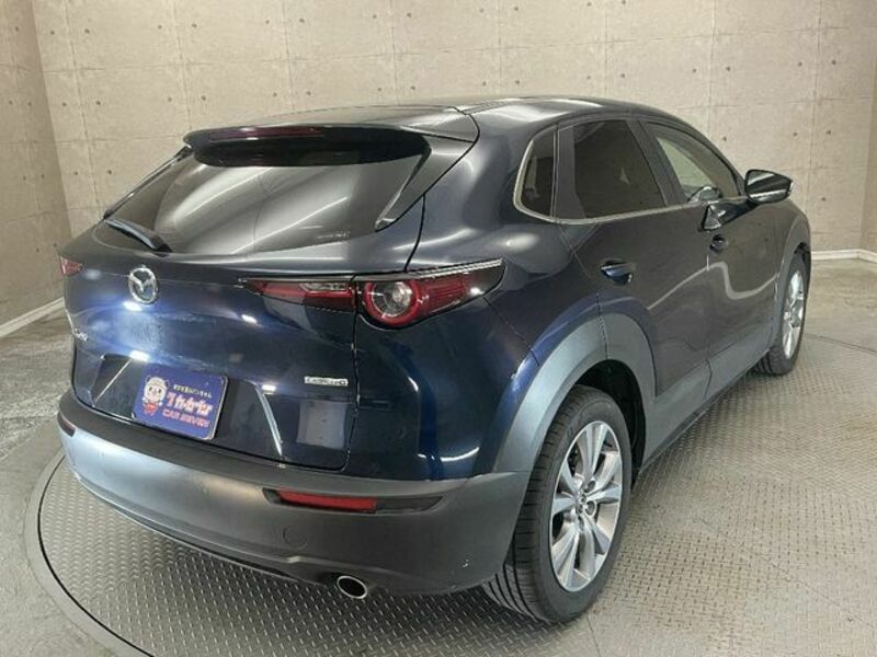 CX-30-3