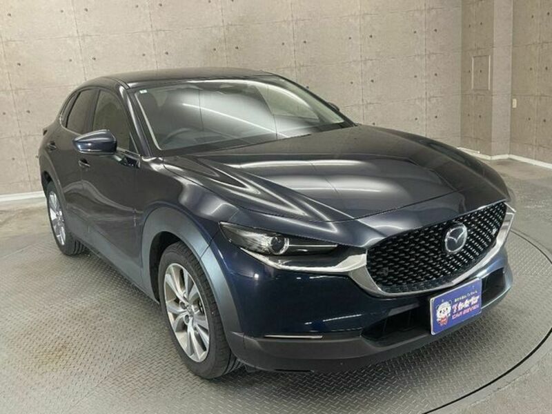 CX-30-4