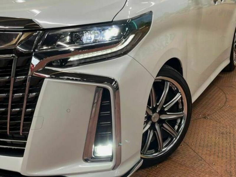 ALPHARD-15